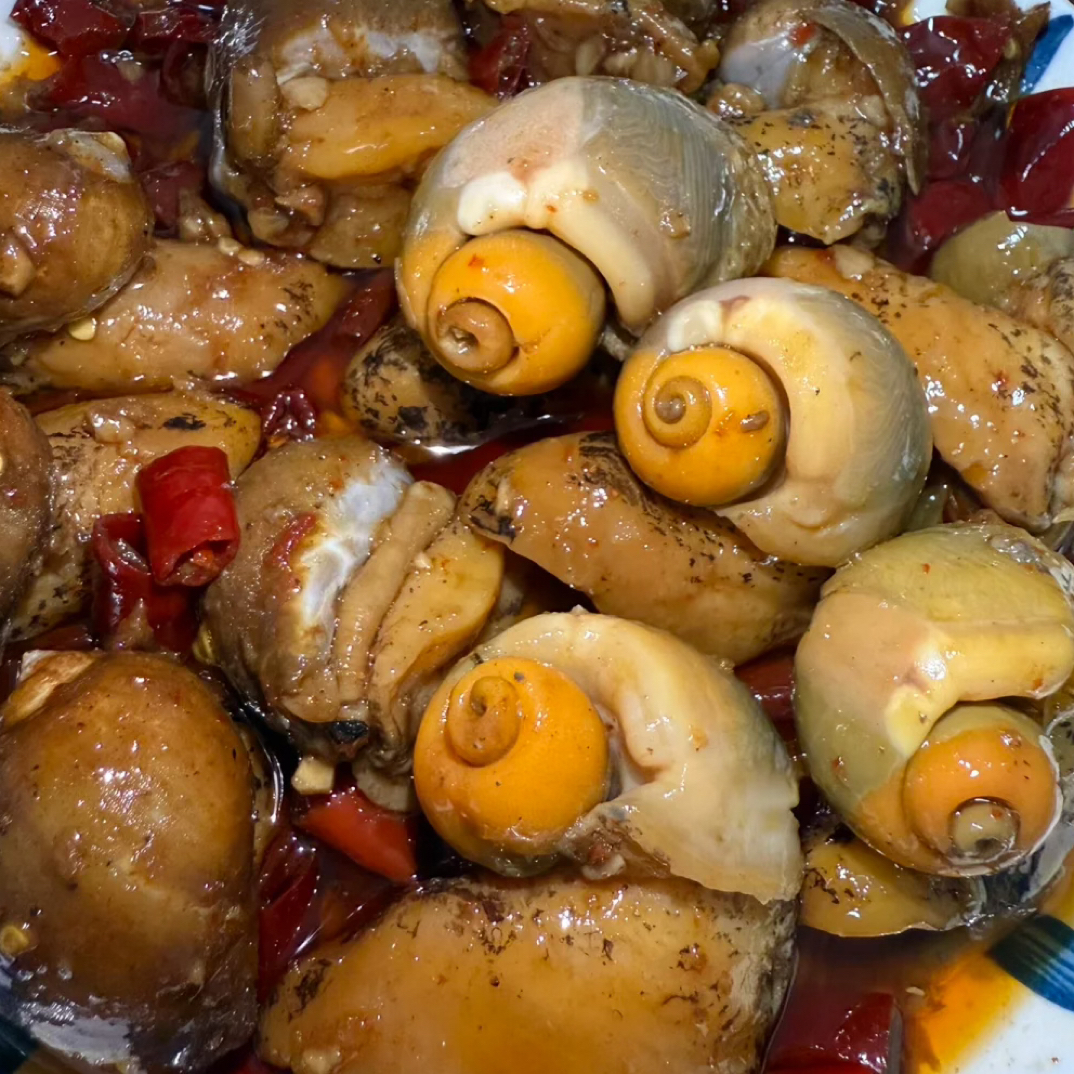 辣炒带黄老婆脚大鲍螺冷冻即食顺丰包邮 发货后不支持退款拒收