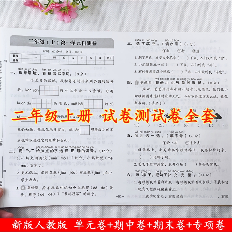 名师教你冲刺期末100分测试卷人教版二年级上册语文同步测试卷子