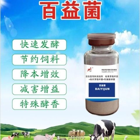 百益菌发酵饲料，发酵玉米豆粕，豆腐渣酒糟，牧草青贮