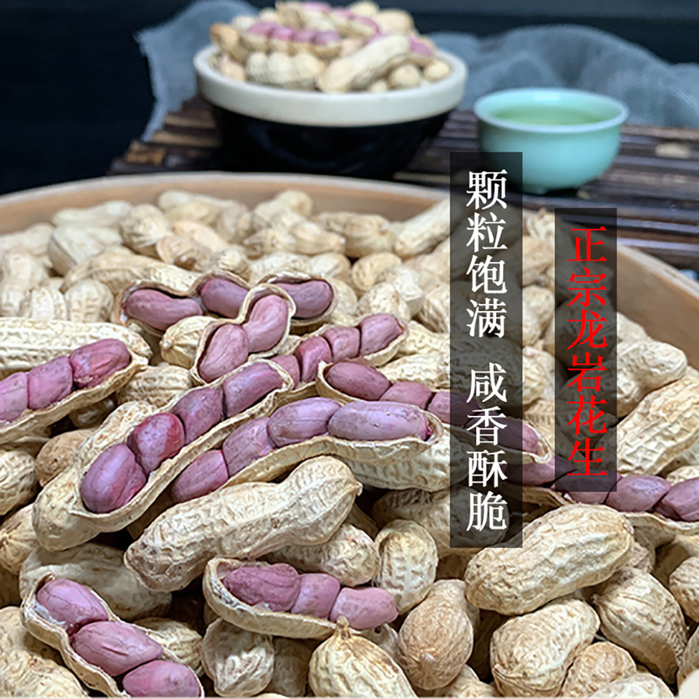 【新货】正宗龙岩花生带壳湿烤紫衣花生经典红衣水煮咸香酥脆