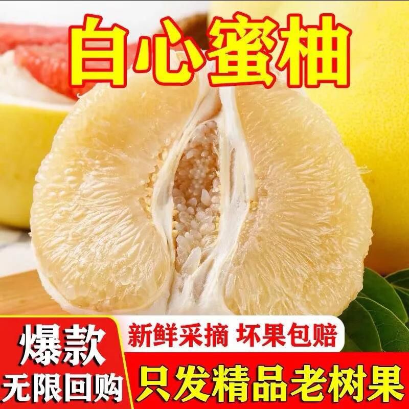 福建平和老树白心琯溪蜜柚新鲜应季多汁甜润水果