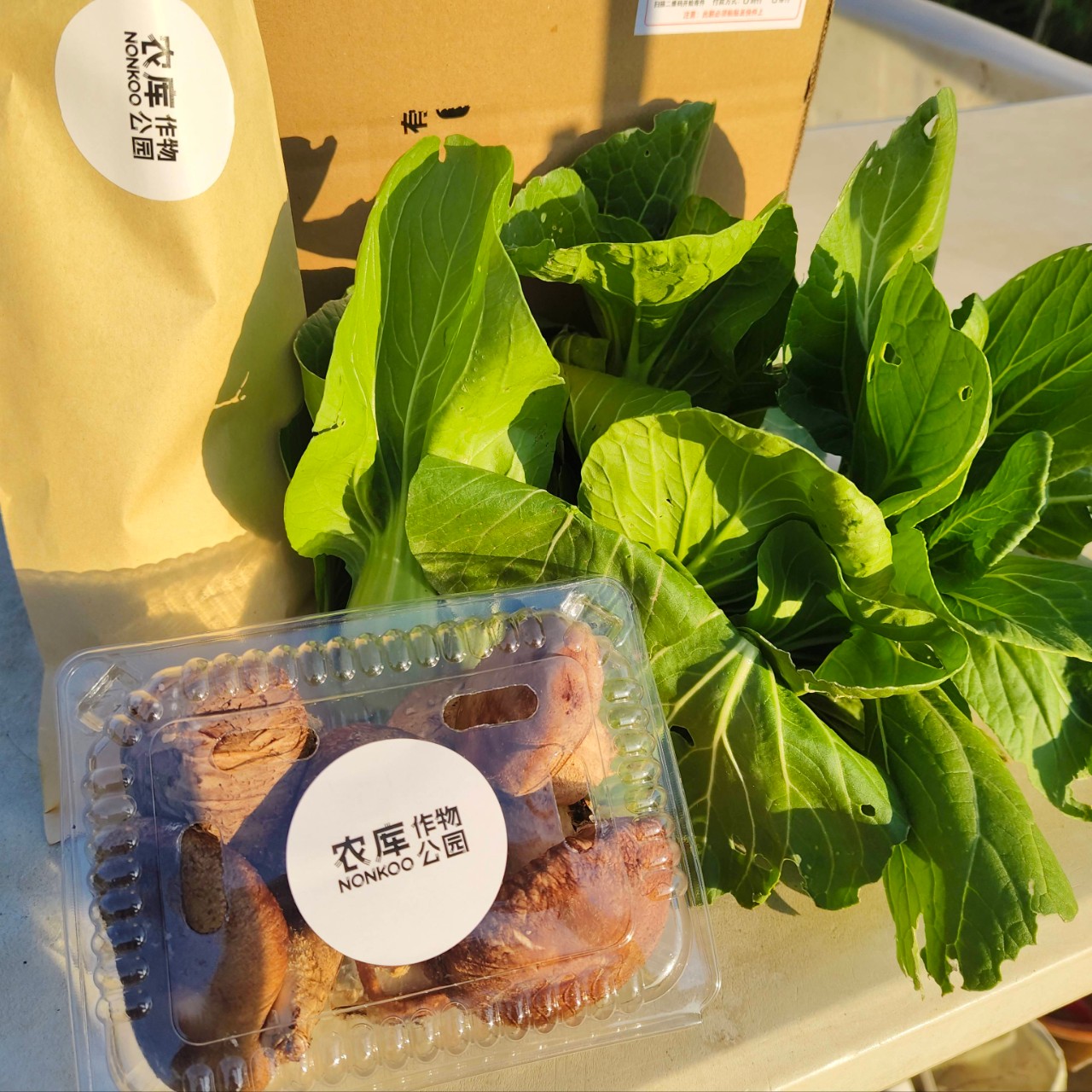 鲜香菇青菜无农药化肥激素除草剂现摘现发配送到家江浙沪皖包邮