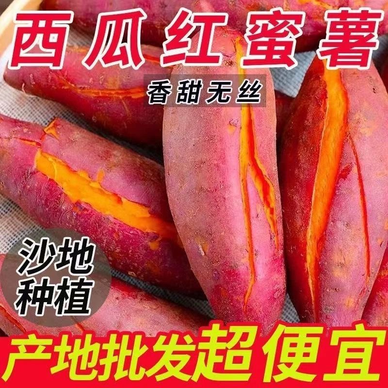 正宗沙地西瓜红蜜薯新鲜现挖板栗薯番薯地瓜当季糖心鲜薯3斤5斤