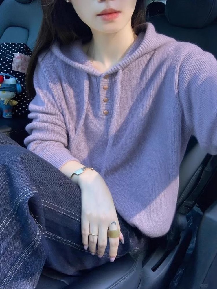 2025新款今年流行爆款韩系独特漂亮连帽上衣紫色针织衫毛衣女秋冬