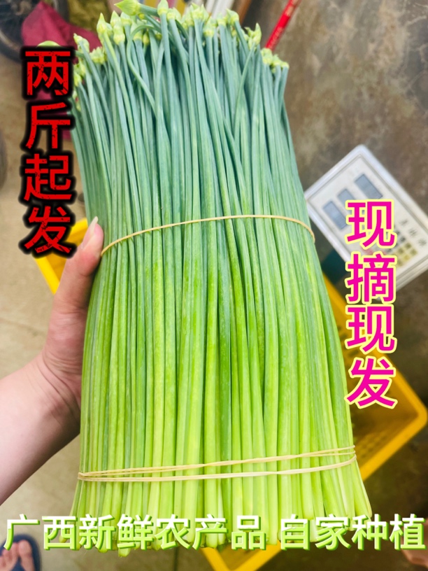 广西热销新鲜韭菜苔蔬菜现摘现发嫩菜农产品韭菜花纯天然新鲜包邮