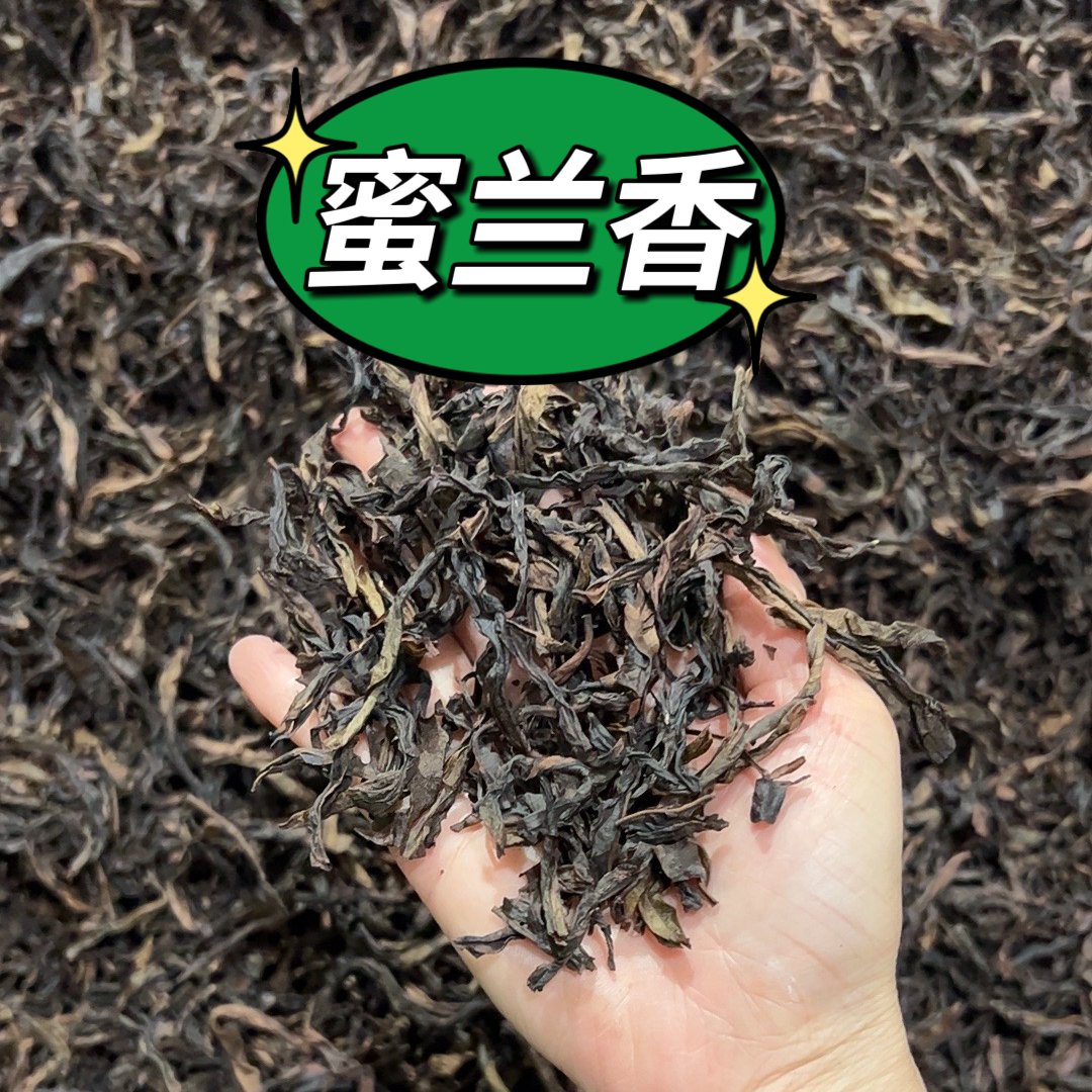 潮州凤凰凤凰单枞高山春季蜜兰香粗叶浓香型二米鸭屎香凤凰单枞