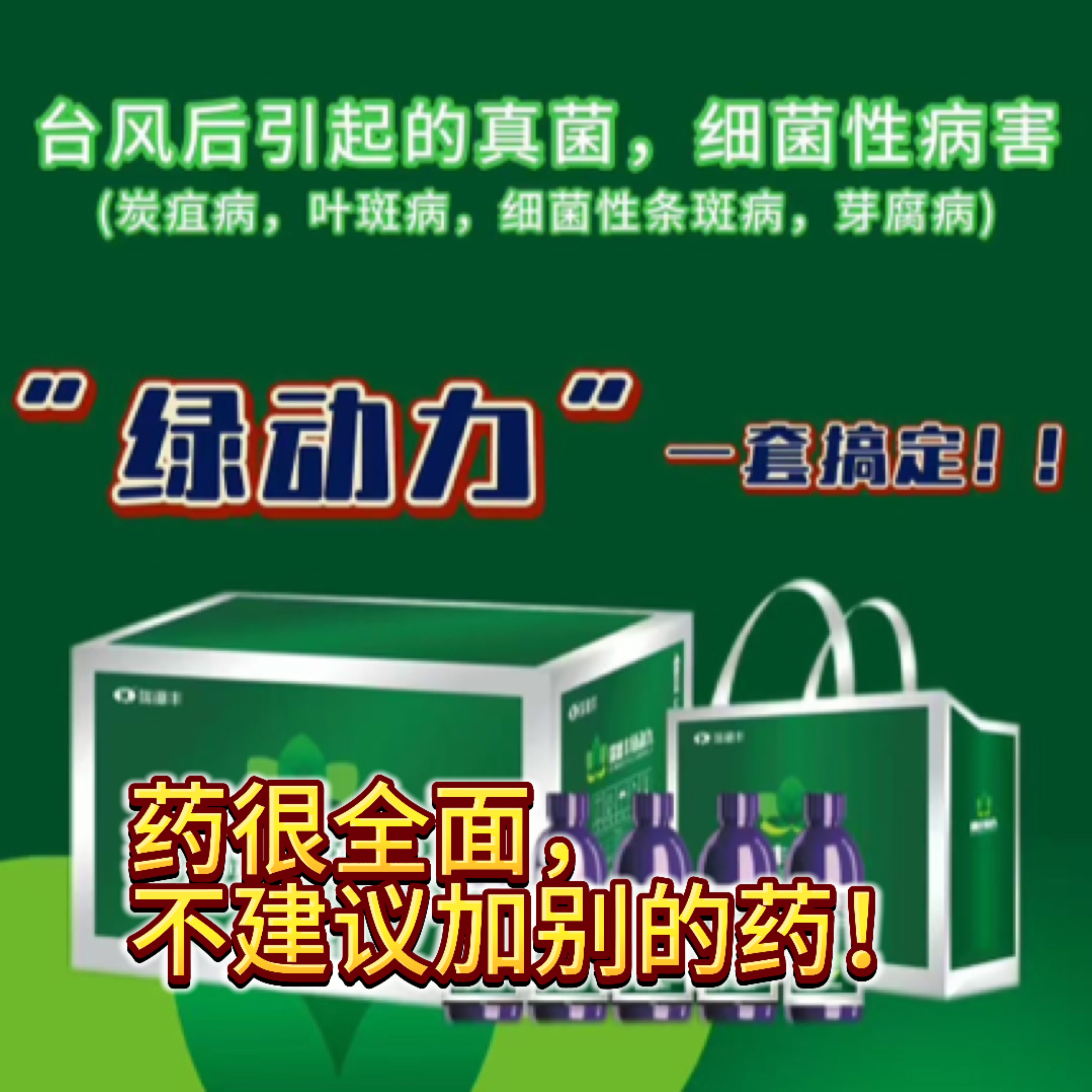 绿动力 | 槟榔黄叶炭疽叶斑烂心芽腐黄化病飞防专用