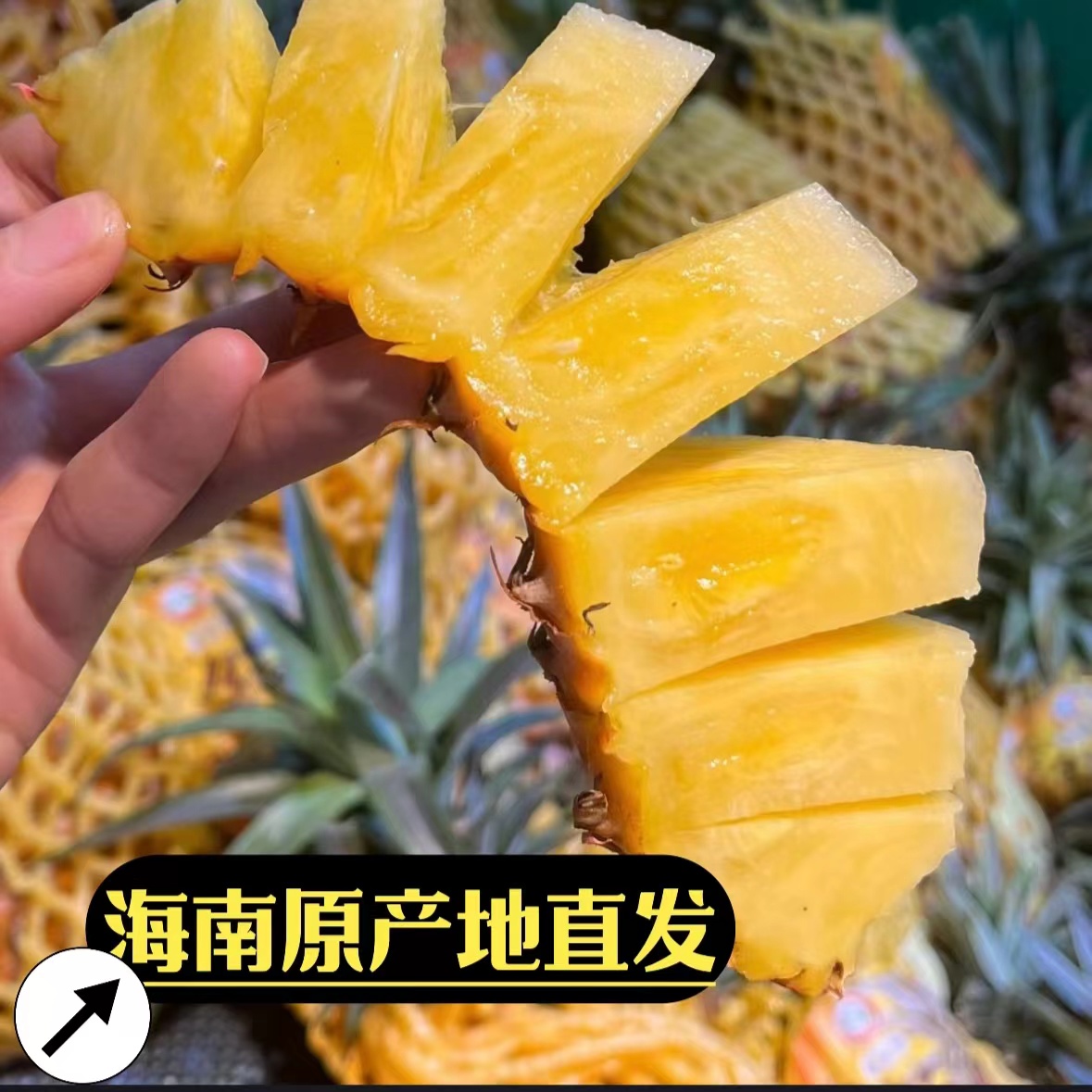 海南自然熟金钻凤梨凤梨新鲜热带水果  海南原产地直发 爆甜凤梨