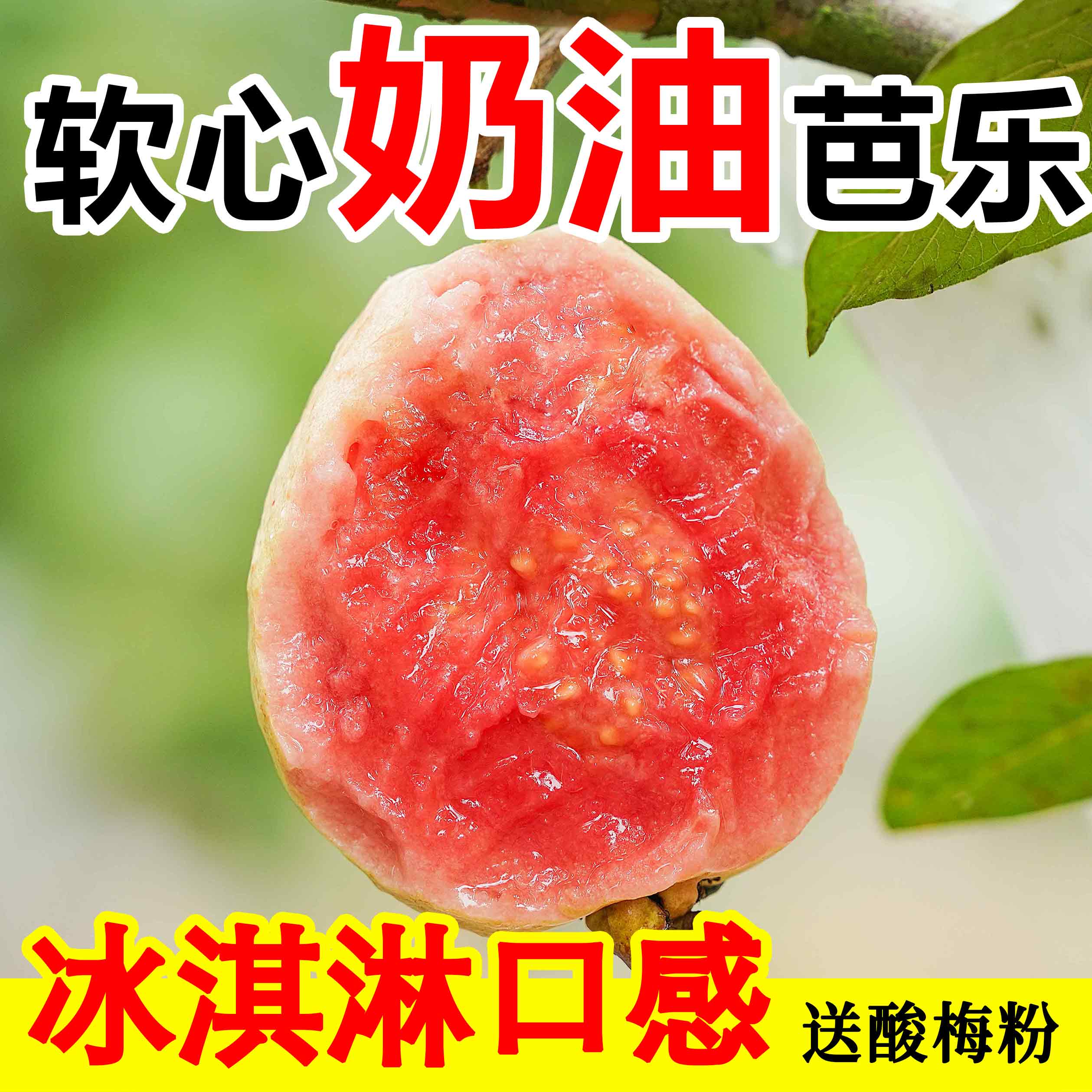 【软糯香甜】正宗广西红心奶油芭乐5斤现摘当季番石榴低糖水果