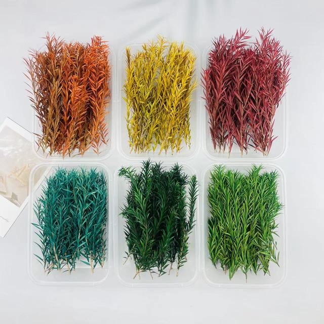 永生千层金DIY材料配叶花环藤圈点缀材料手工干 干燥花玻璃罩配叶