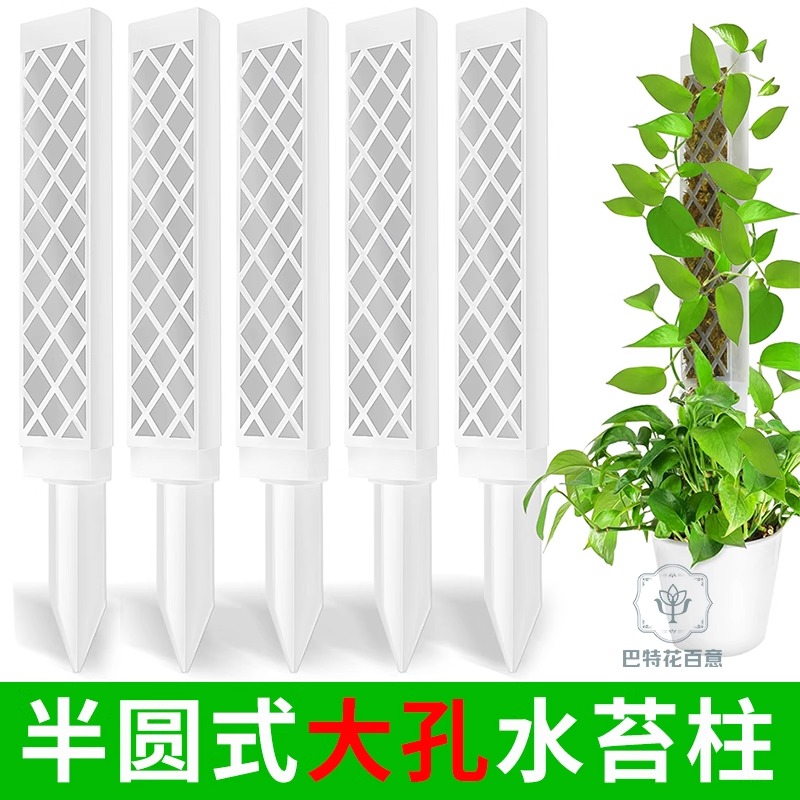 新型水苔柱拼接爬藤植物攀爬柱热植蔓绿绒龟背竹绿萝苔藓柱气生根