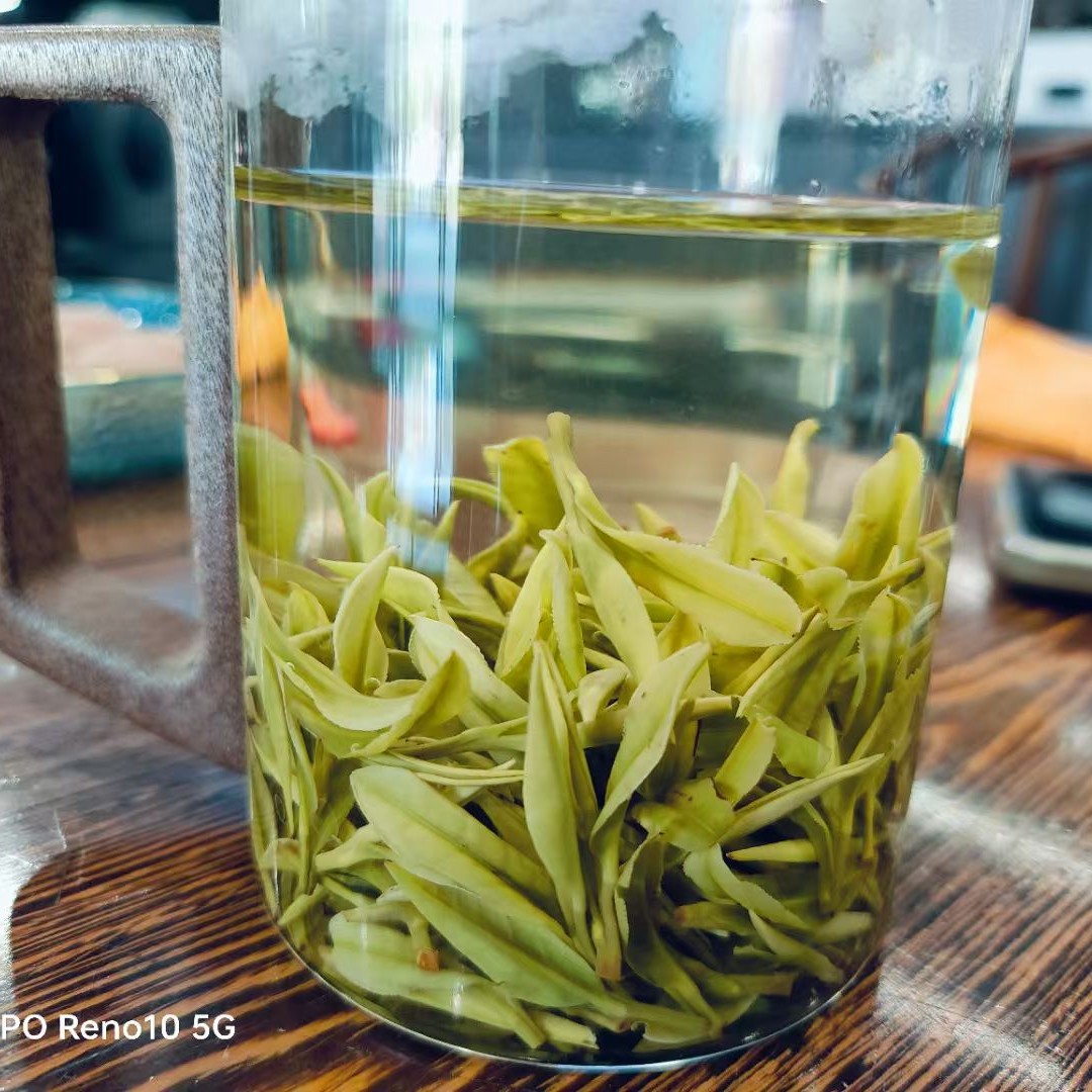 明前高山安吉白茶新茶兰香鲜爽回甘早春采摘绿茶