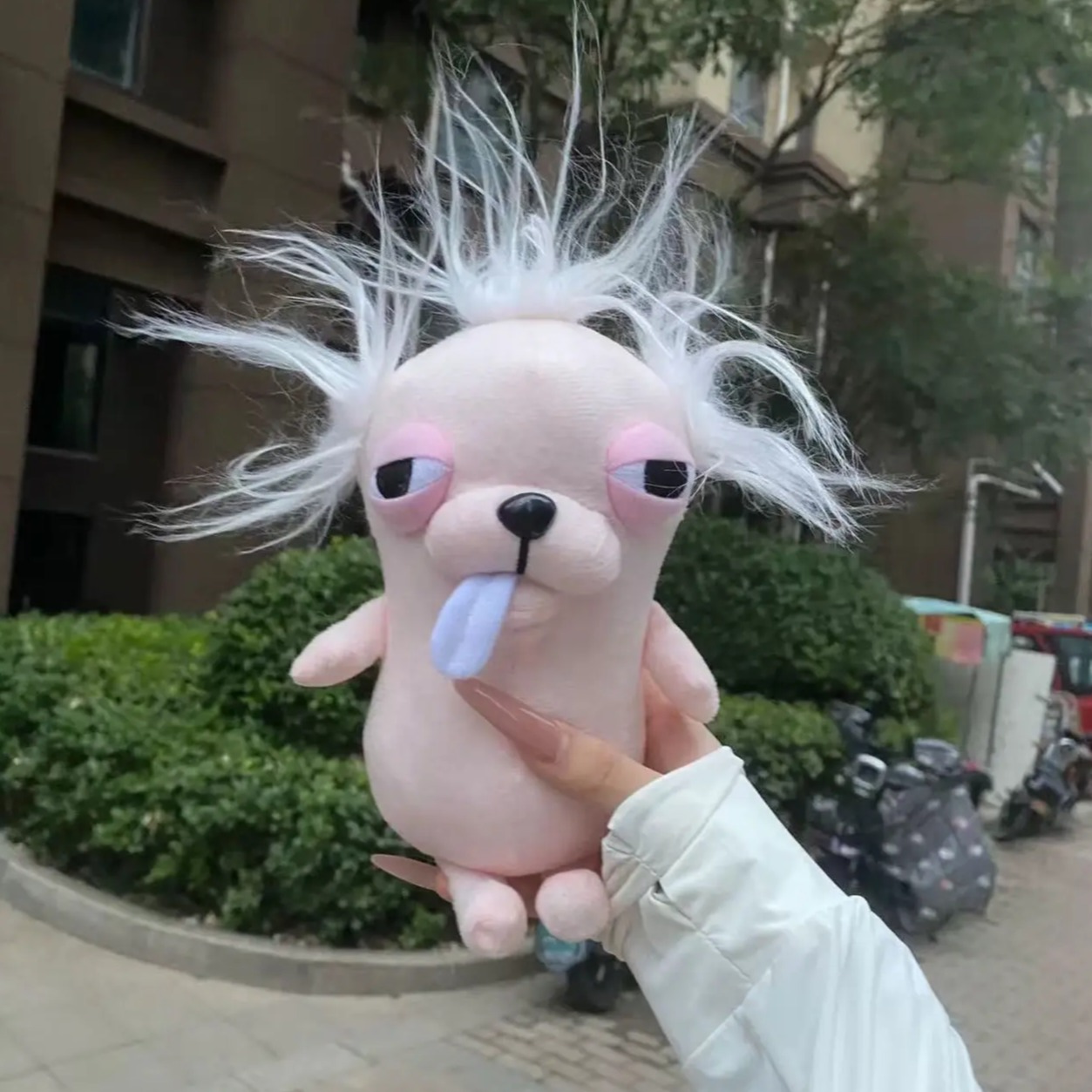 ChiHUAHA冠毛犬阿冠吉娃娃毛绒公仔玩抱枕生日礼物送女生挂件玩偶