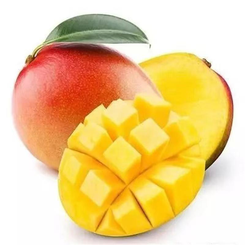 苹果芒澳茫新鲜采摘水果青.红.黄三色随机发货