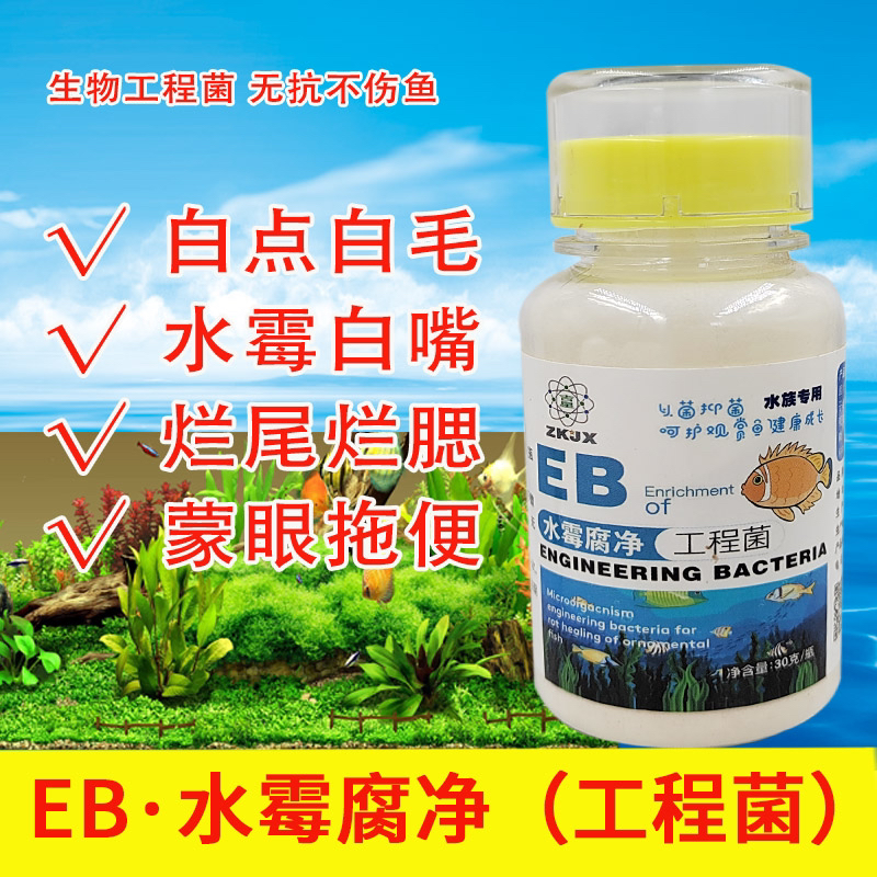 水霉腐净白毛白斑白点烂身防二次复发生不伤鱼锦鲤鹦鹉鱼龙鱼
