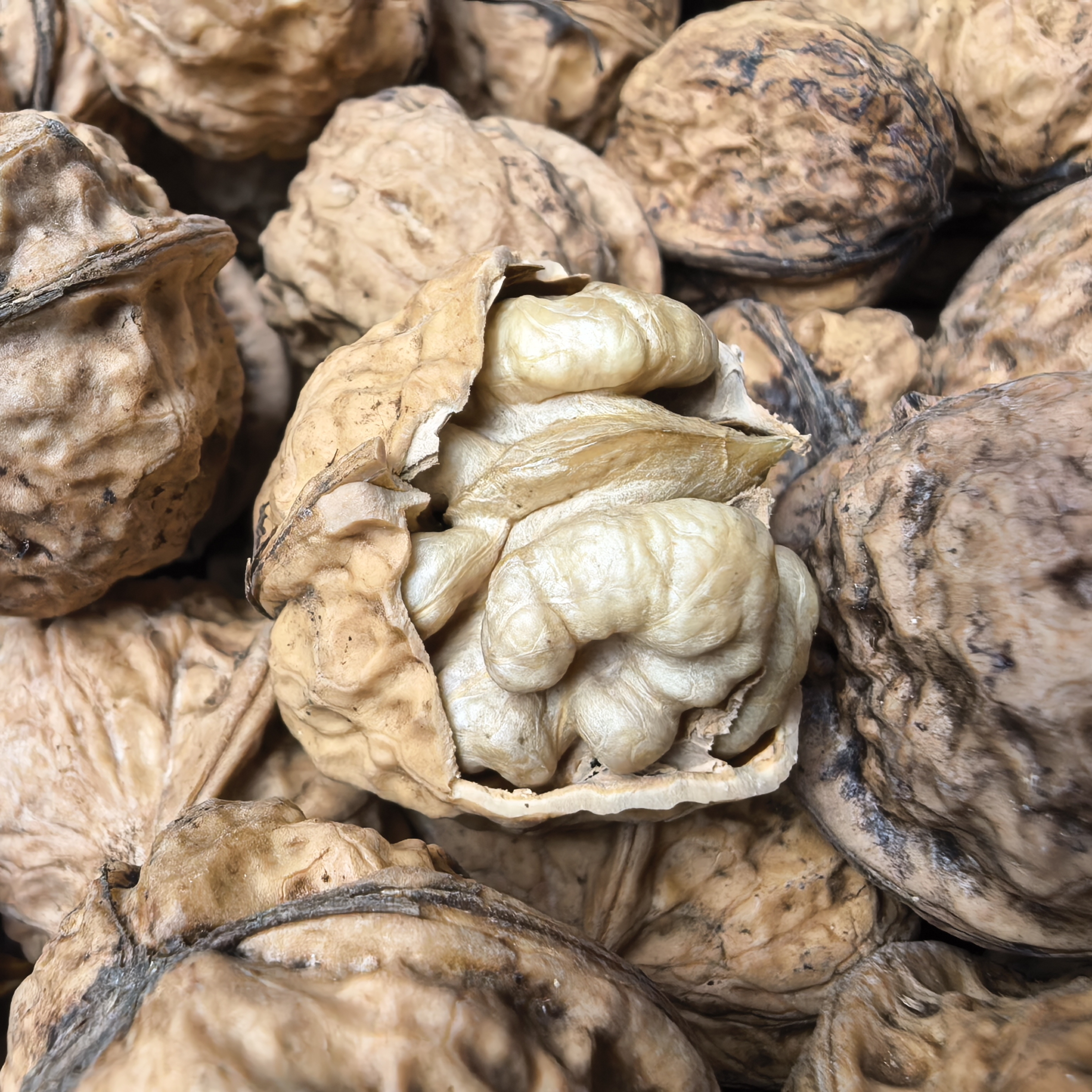 新核桃贵州赫章核桃老品种干核桃试吃不满意全额退款