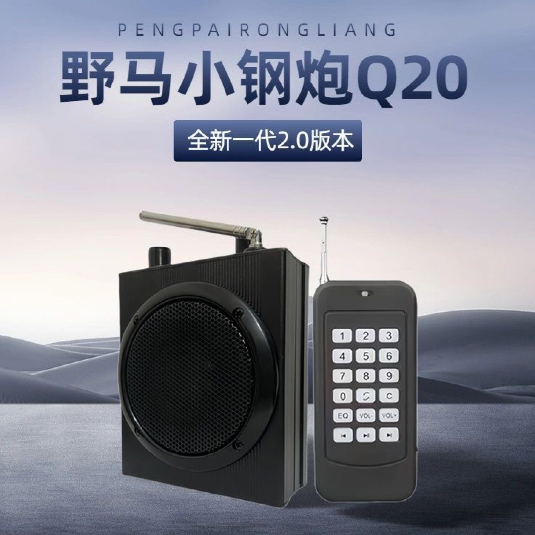 Q20小钢炮户外舞蹈蓝牙带音卡远程遥控多功能大音量长续航机扩音