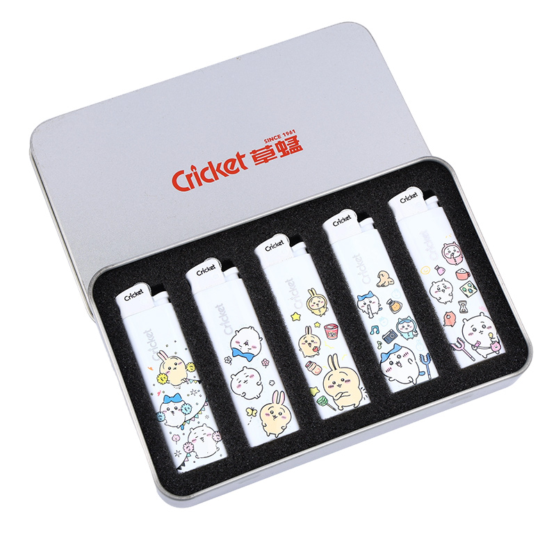 草蜢打火机【5支礼盒装】防爆一次性打火机小雏菊款式送男女礼物