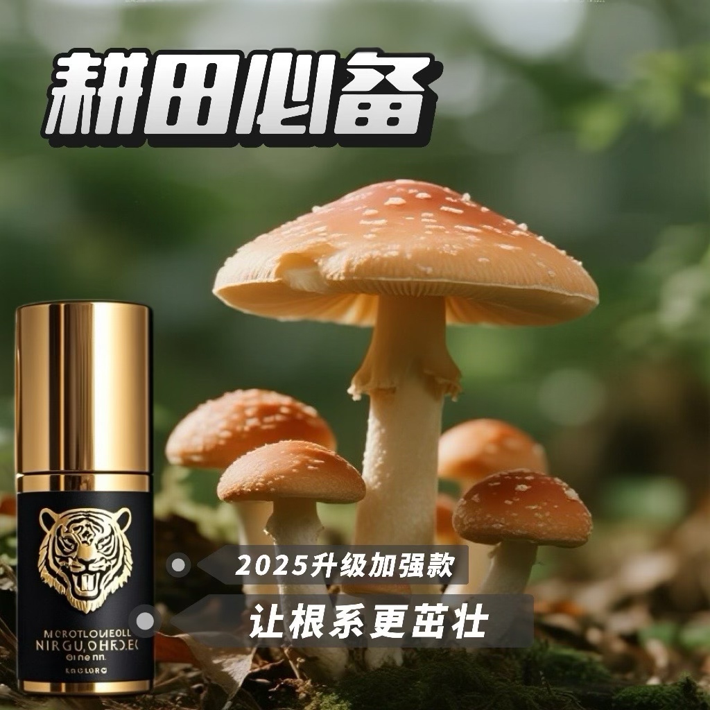 【急速吸收】根茎茁壮植物根茎营养植物肥料