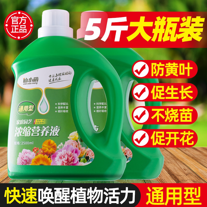 营养液植物通用型花肥发财树富贵竹绿萝水培盆栽家用花卉养花肥料