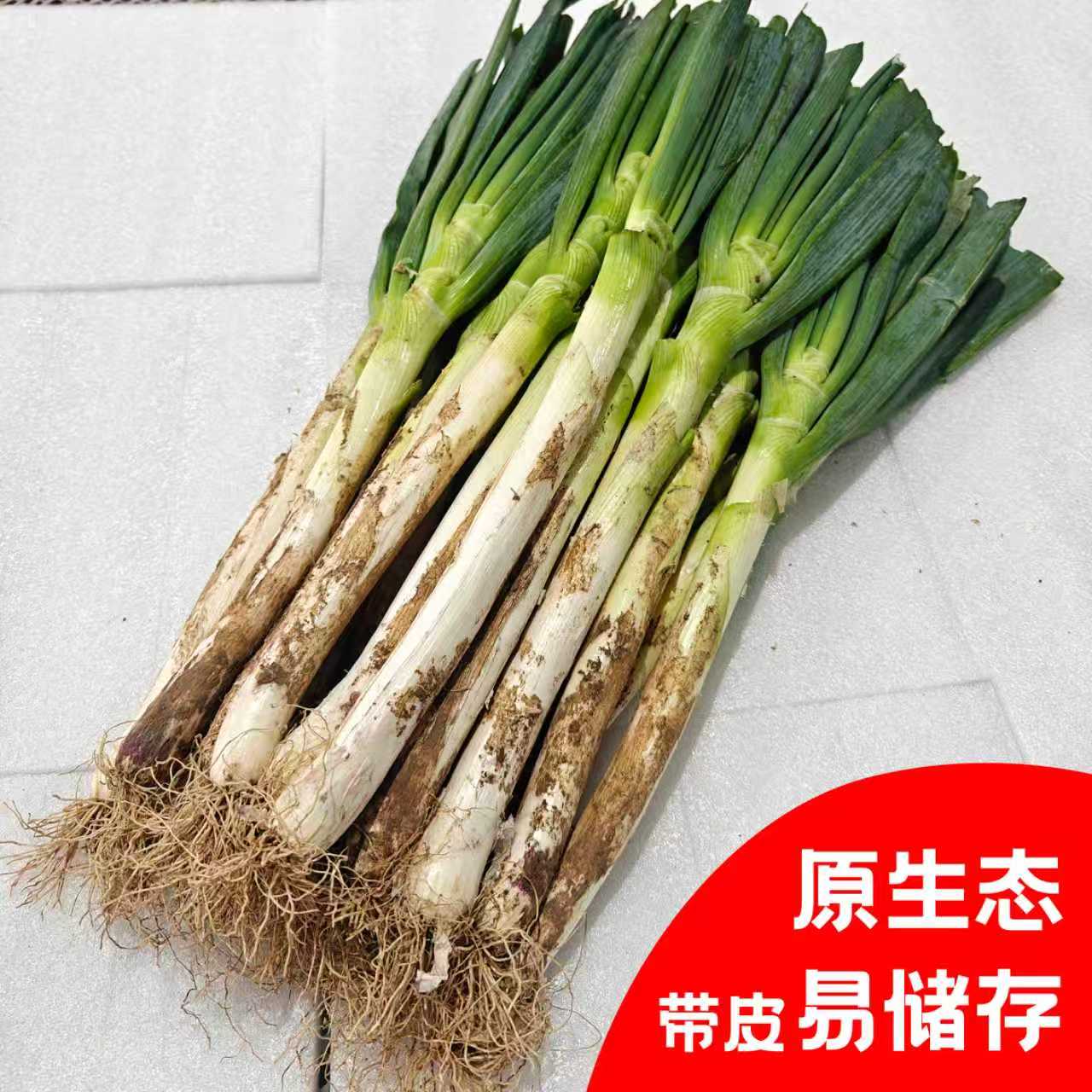 【现挖现发】新鲜大葱东北黑土地铁杆苯葱带皮去半叶毛葱