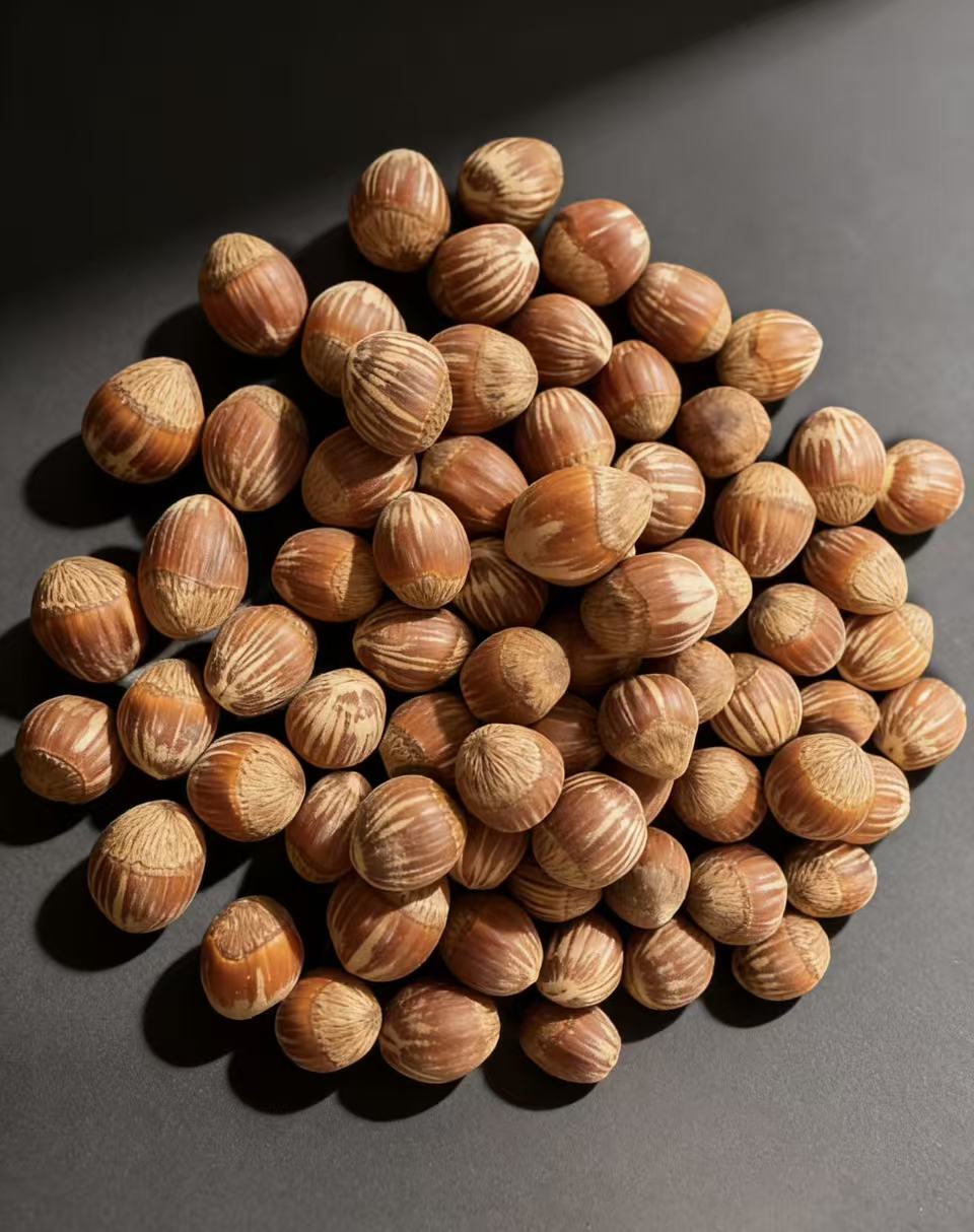 起初家园 东北大果熟榛子薄皮原味不开口可试吃