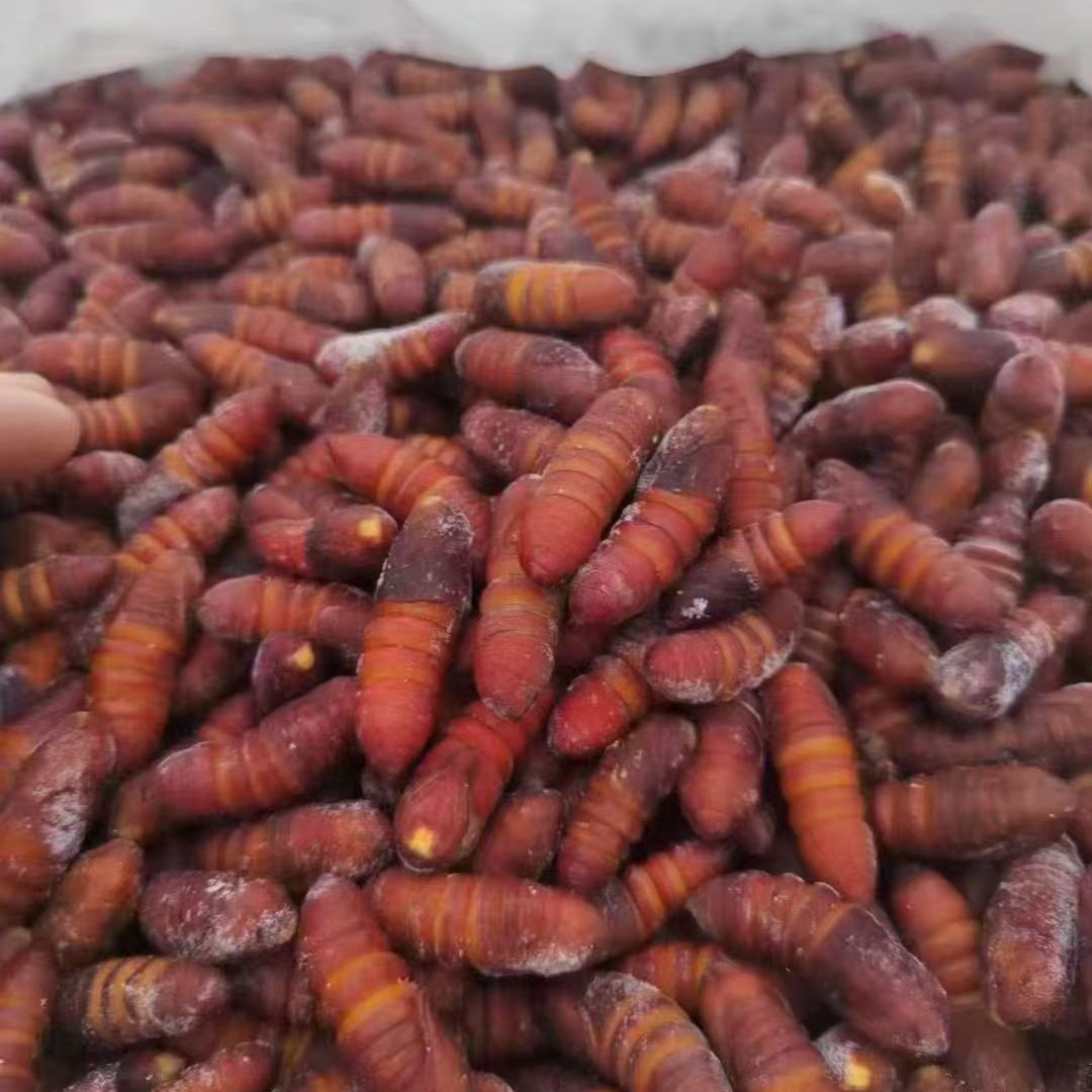 当季新鲜速冻核桃蛹，味美香甜，今年新货，数量有限