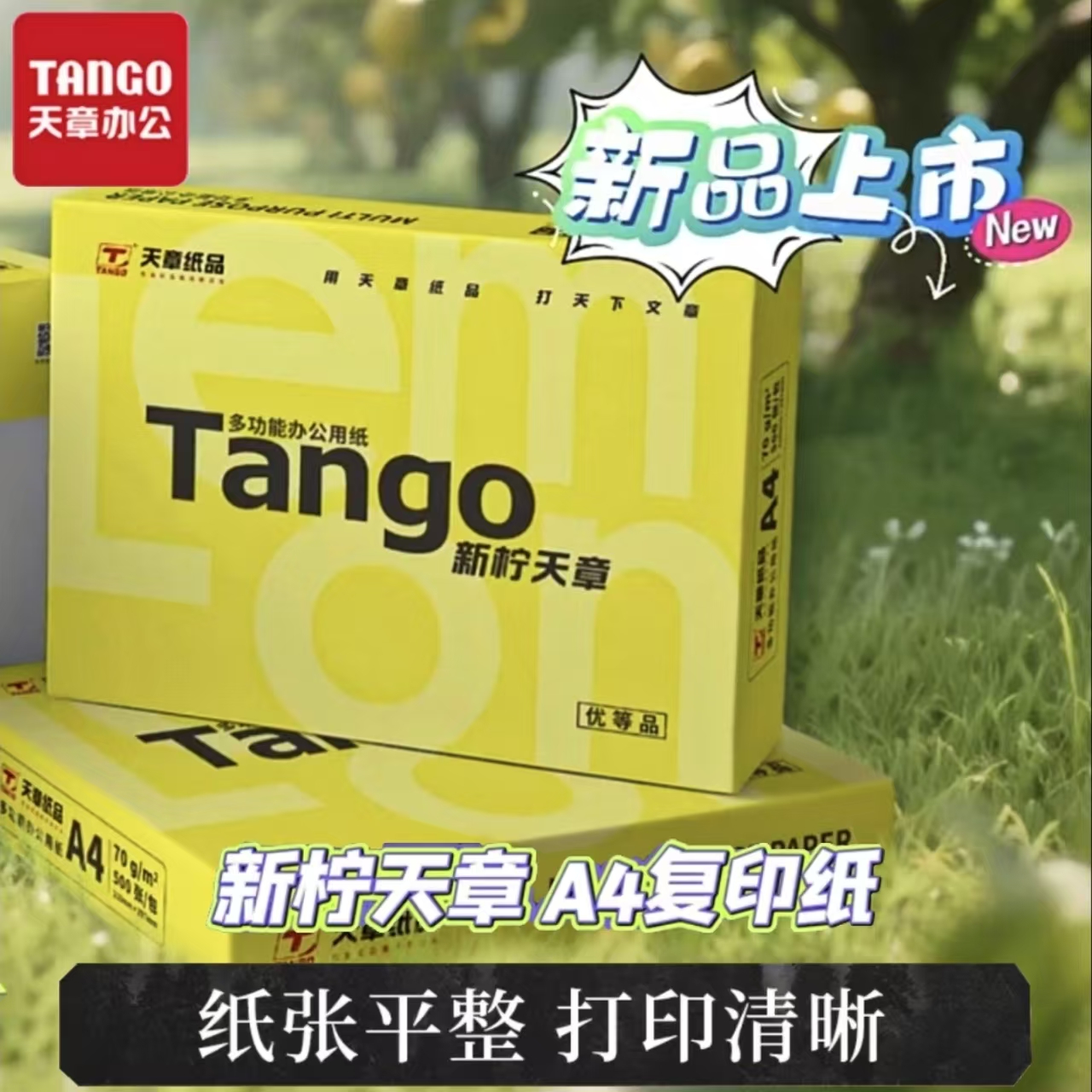 天章新柠A4纸新品上市打印复印办公学习70g/平方米500张