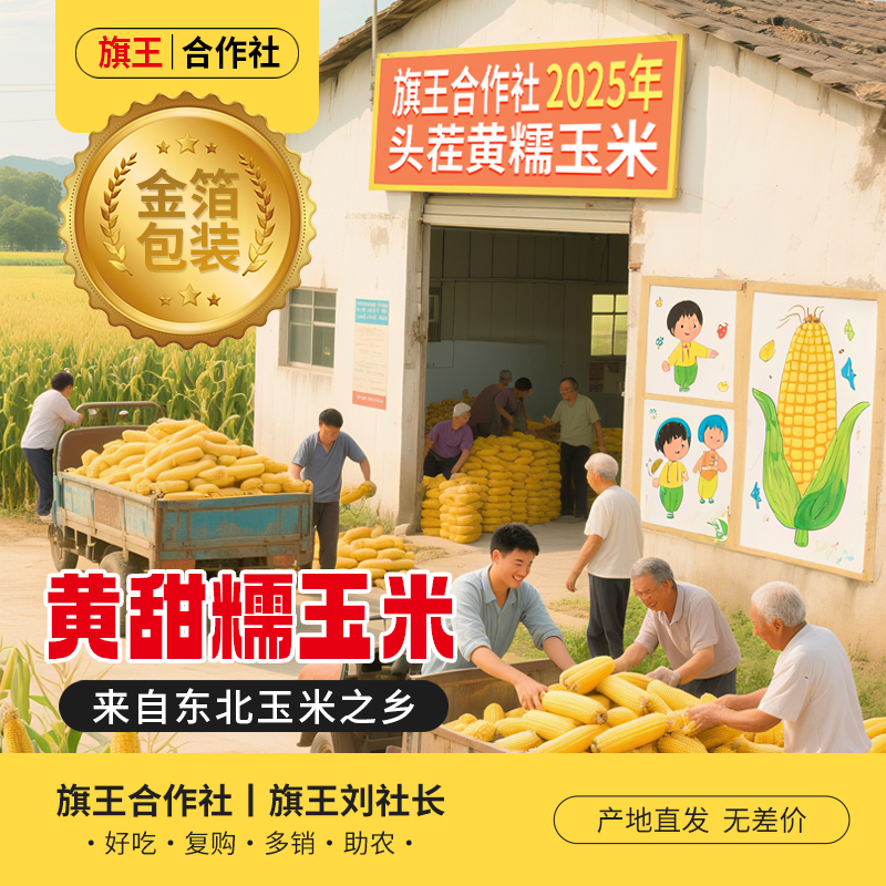 [25年头茬新玉米】金箔黄甜糯玉米8大棒