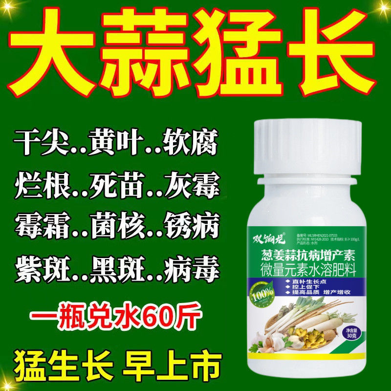 【大蒜猛长大】蒜苗专用肥料大蒜病全治黄叶软腐病毒病白粉病锈病