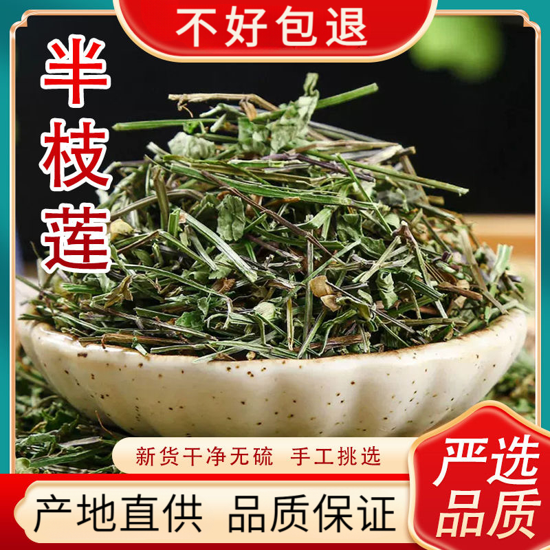 深山新货半枝莲搭配白花蛇舌草新鲜采摘自然晾晒韩信草白花蛇草