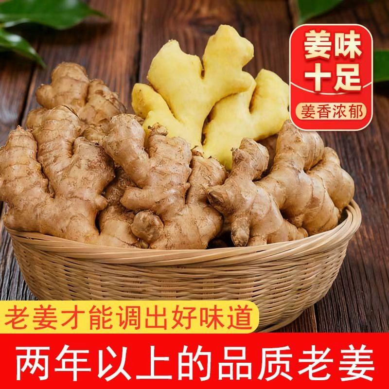 滇鲜生正宗云南小黄姜 新鲜生姜 农家自种调味新鲜食材食用月子姜