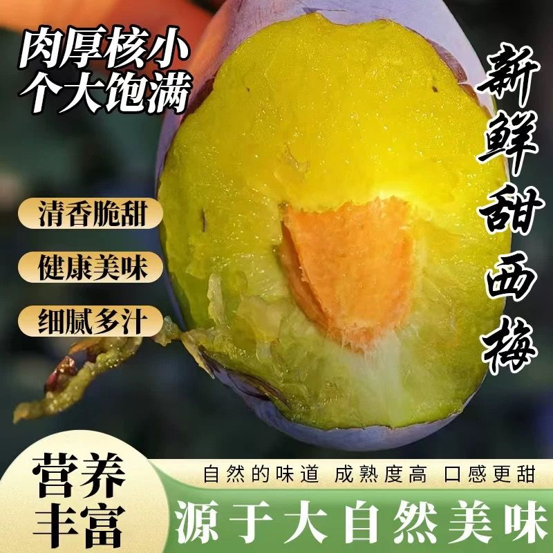 正宗新疆法兰西西梅大西梅新鲜采摘香甜多汁当季水果哈密瓜白凤桃
