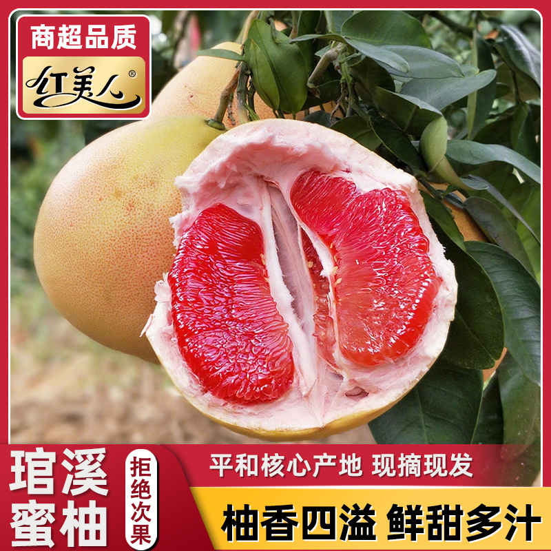 【海扬专属】平和红蜜柚新鲜采摘柚子香甜爽口多汁当季孕妇水果海
