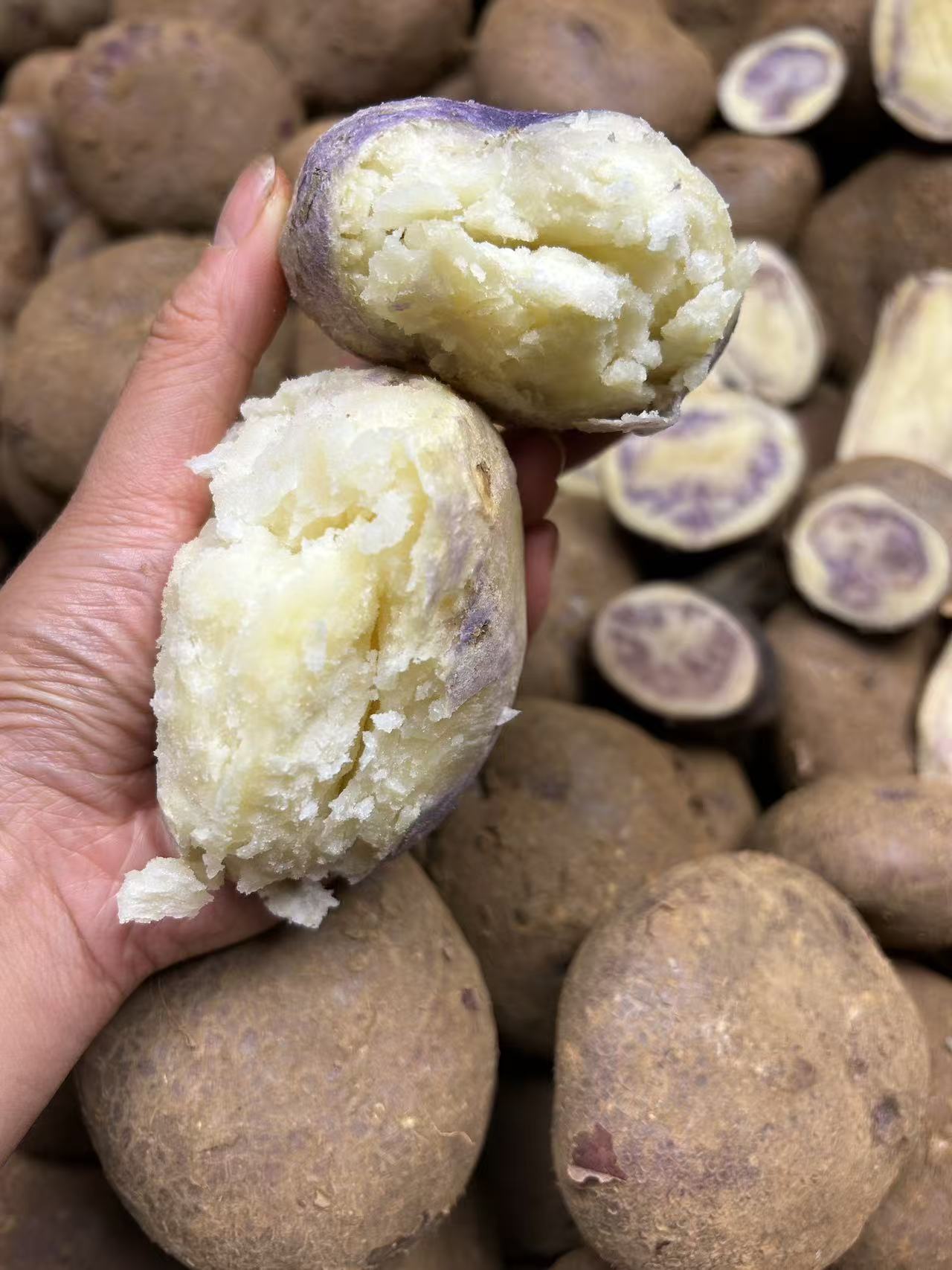 （转心乌洋芋）云南昭通正宗大山包粗皮小黑洋芋