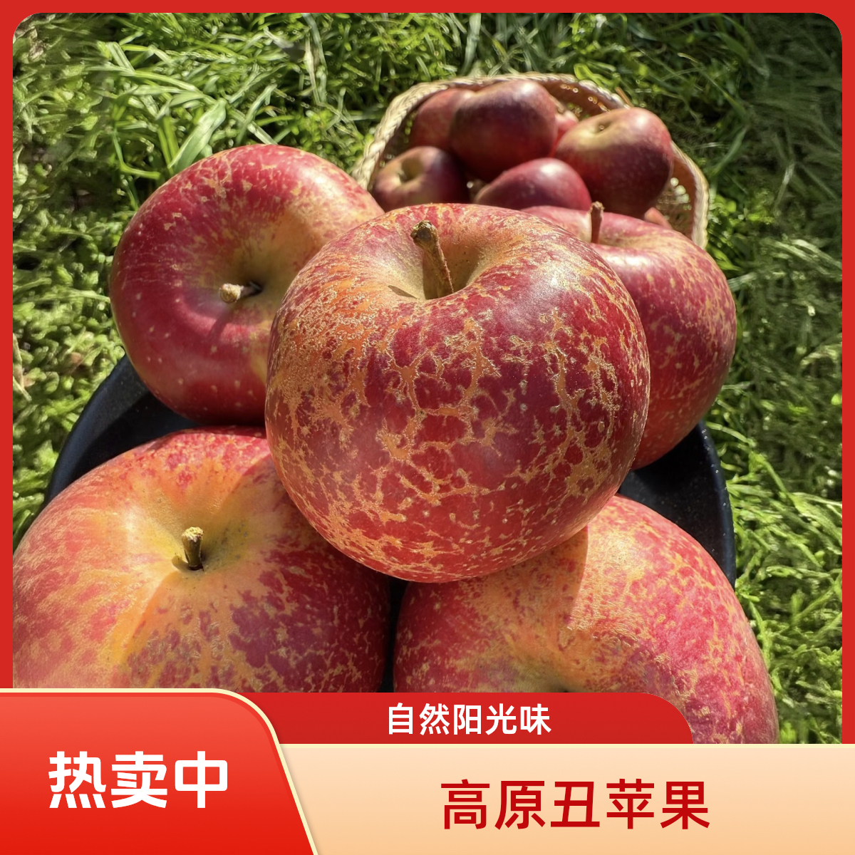 【正宗】云南昭通高原红富士丑苹果新鲜现摘脆甜多汁应季苹果
