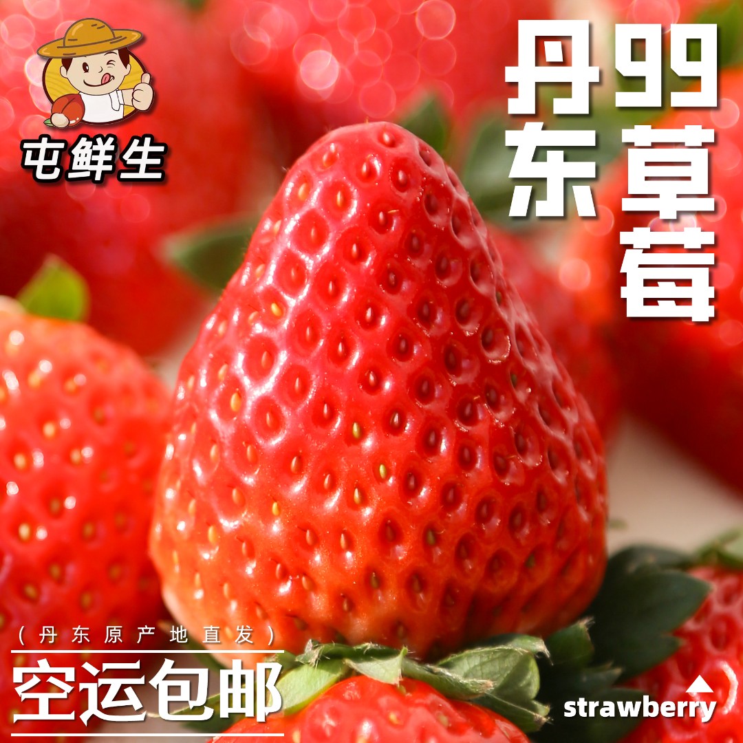 丹东红颜99草莓牛奶99大草莓1.5-2.5斤空运包邮