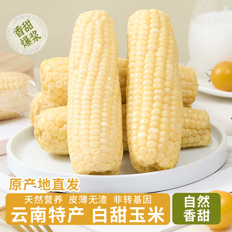 西双版纳牛奶水果玉米爆浆爆甜真空即食苞米早餐减肥代餐轻食苞谷