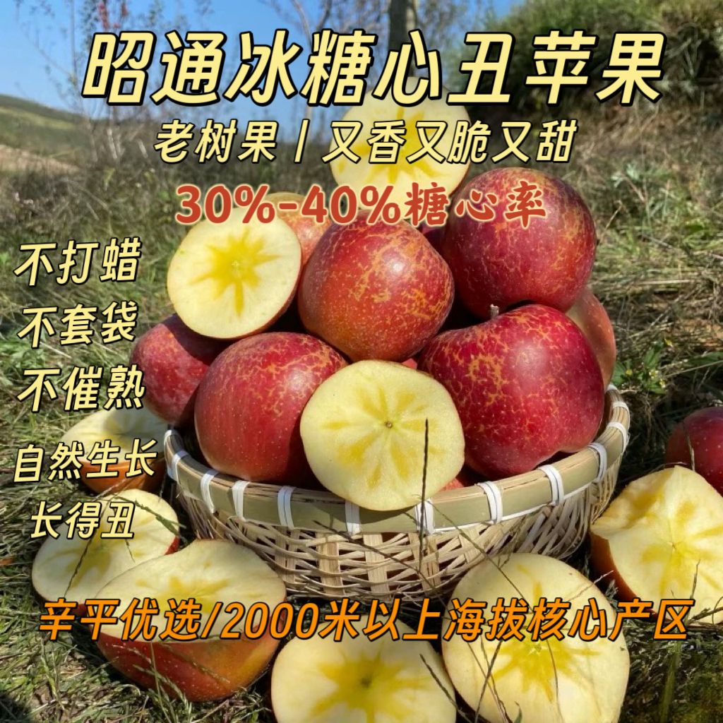 辛平优选[辛平优选]正宗云南昭通丑苹果新鲜脆甜5斤当季应季水果