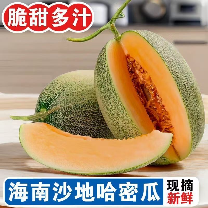 【正宗海南海沙地哈密瓜】海南西州蜜现摘当季新鲜水果口感脆甜多汁