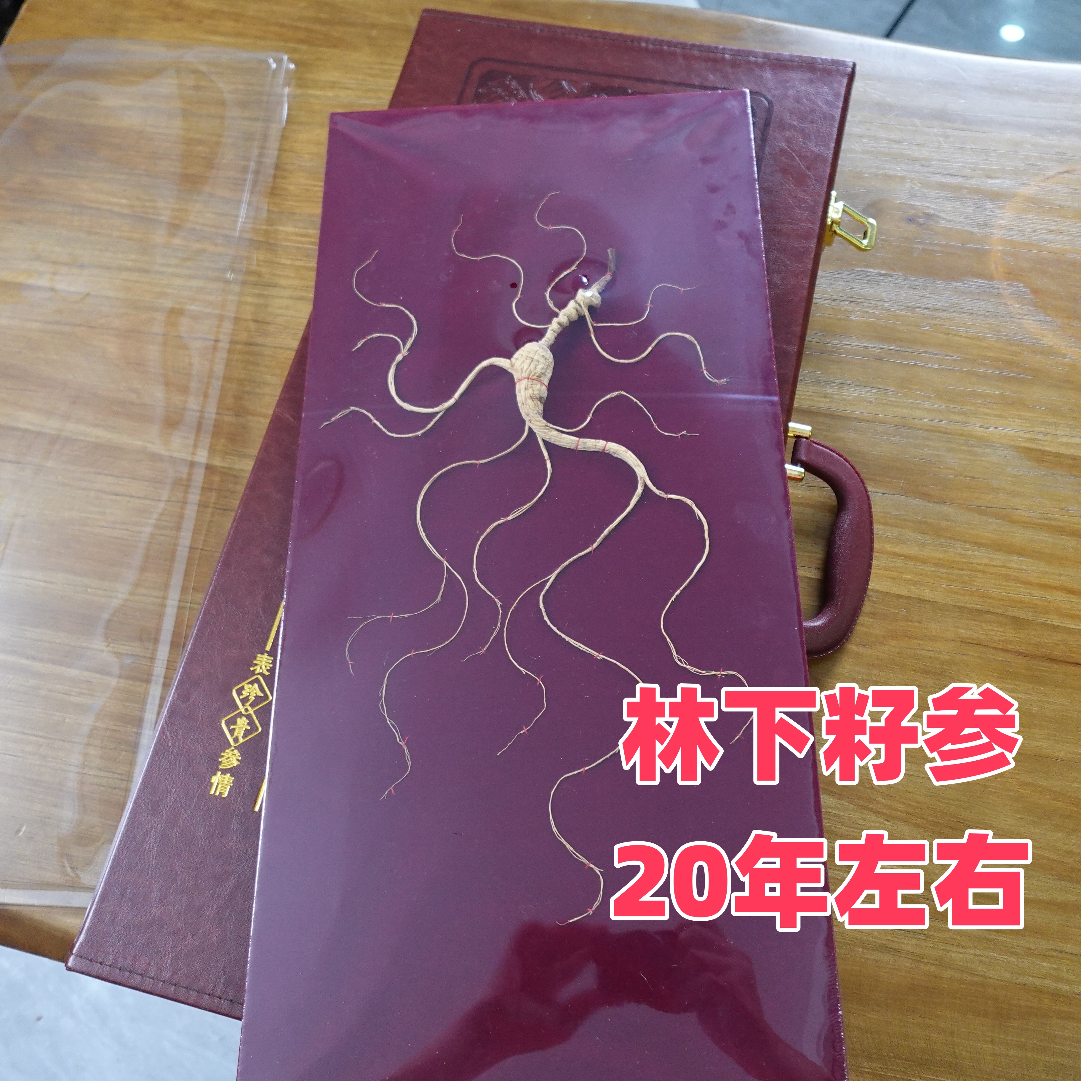 吉林长白山林下参(籽参) 高年份可选 标准籽货单支盒装 按支卖