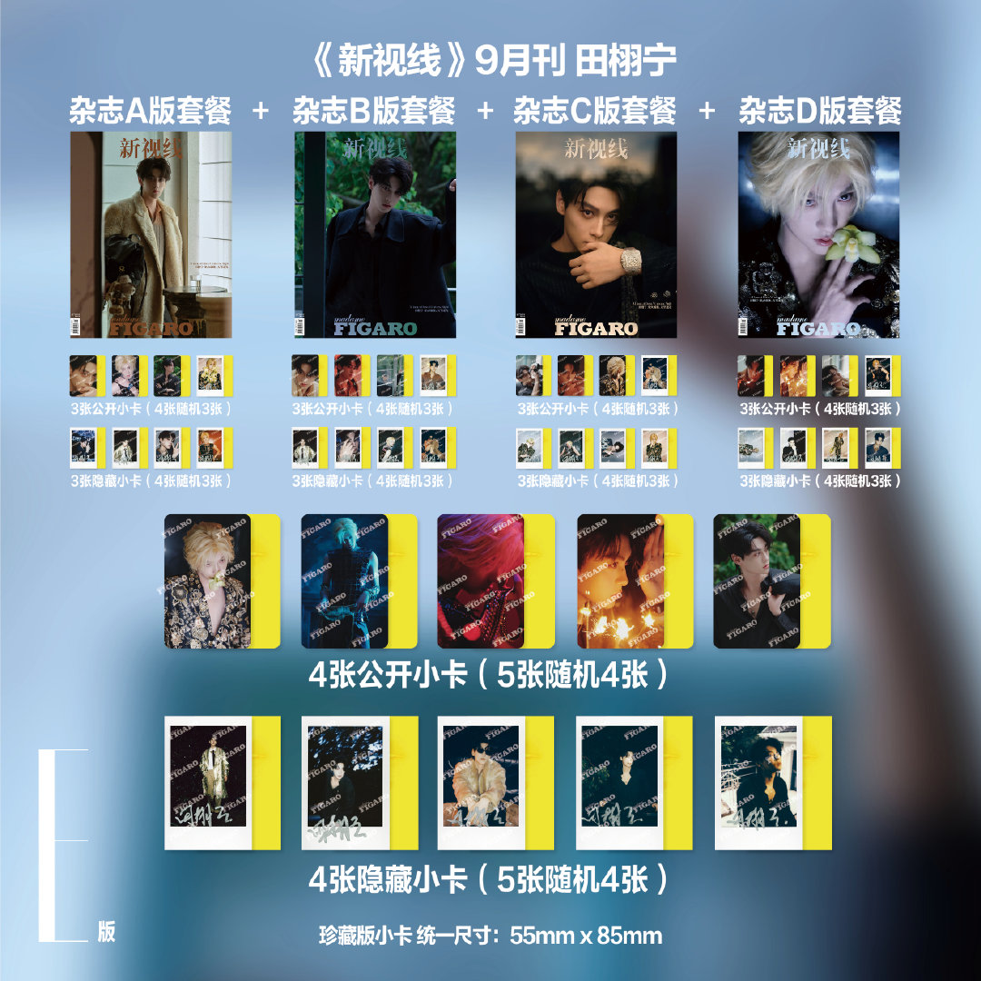 田栩宁封面 A B C D E 版套装 小卡 费加罗杂志2025年9月/Metal
