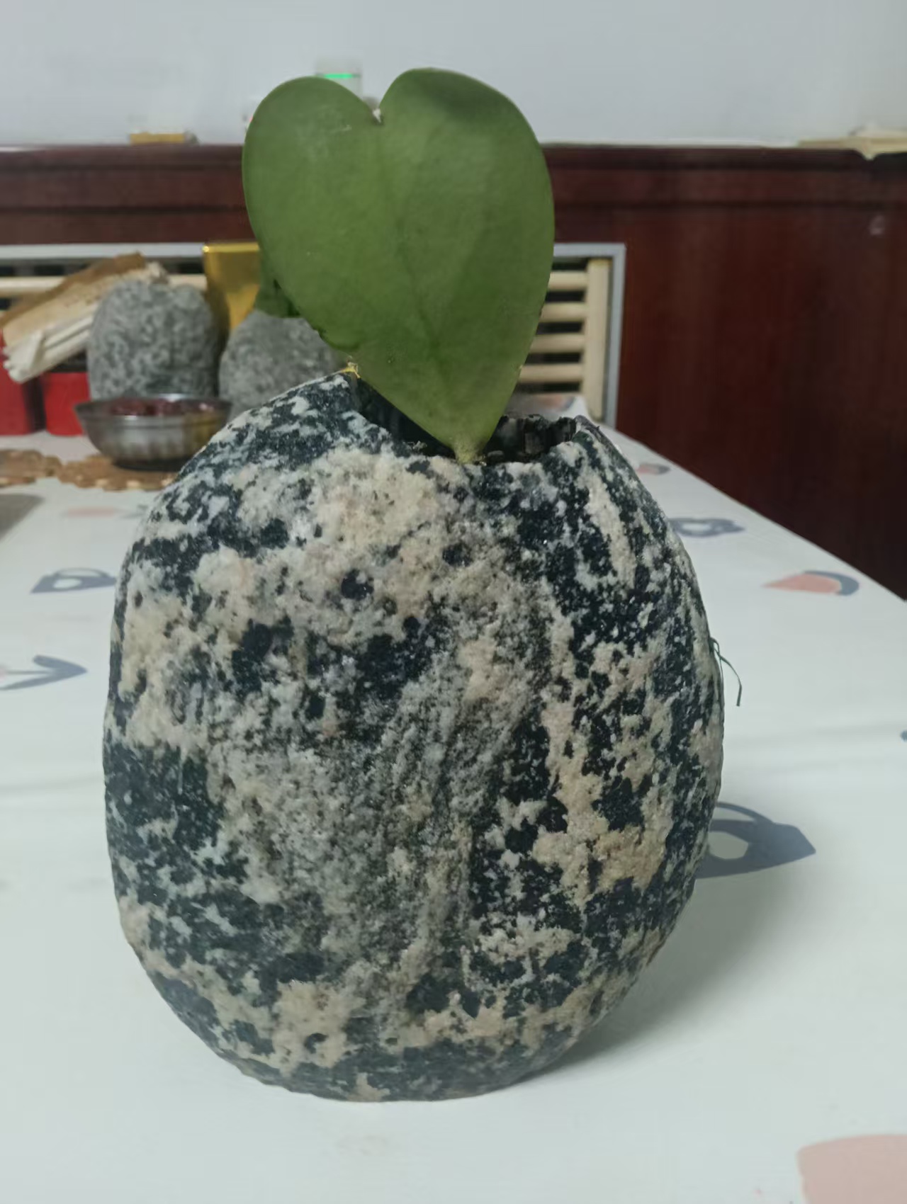 平安石花盆直播间