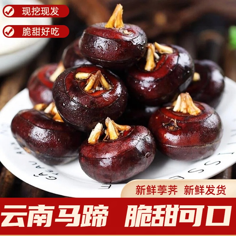 新鲜马蹄带泥当季现挖水果蔬菜脆甜多汁荸荠新鲜发货