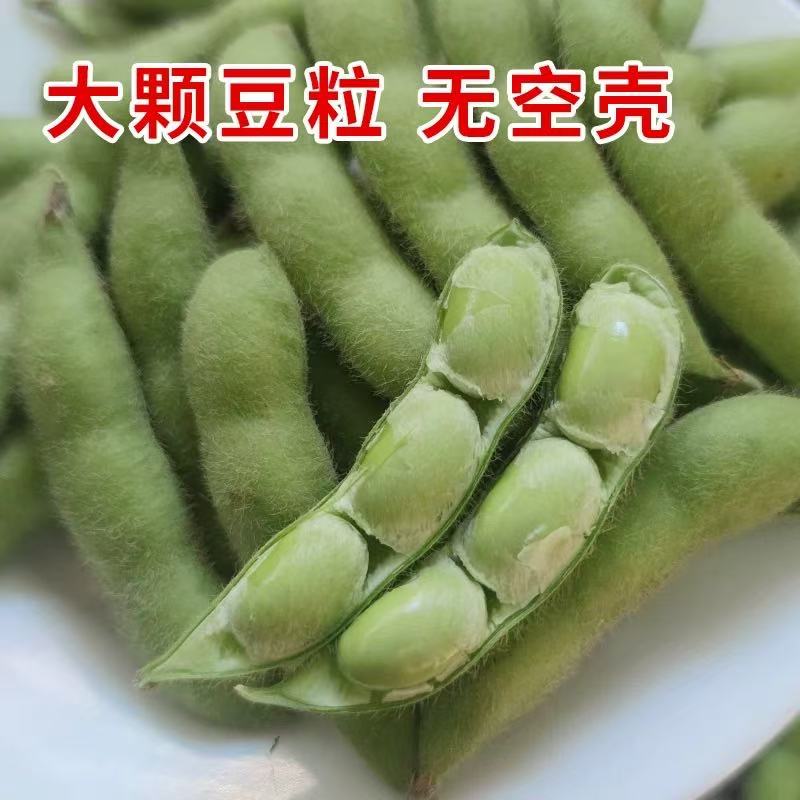 江西现摘新鲜带壳豆荚毛豆青豆农家鲜嫩豆角当季蔬菜特产整箱