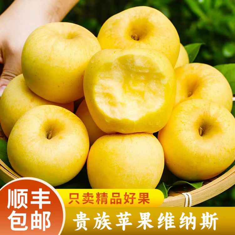 【顺丰】金斑山东烟台黄金维纳斯奶油苹果脆甜多汁新鲜水果4.8斤装