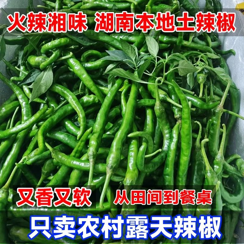 湖南农家土辣椒香辣青红辣椒尖螺丝新鲜薄皮本地湖南本地秋辣椒