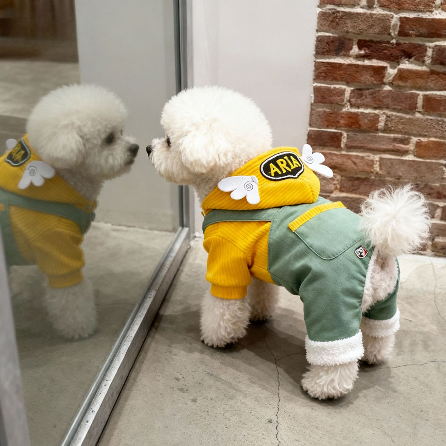 狗狗衣服秋冬加绒加厚宠物带帽天使四脚衣适合猫猫狗狗等小型宠物