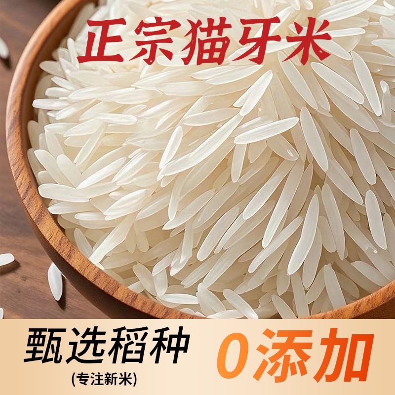 【25年新米】长粒香米猫牙米晚稻营养清香软糯适合煮饭煲仔饭助农