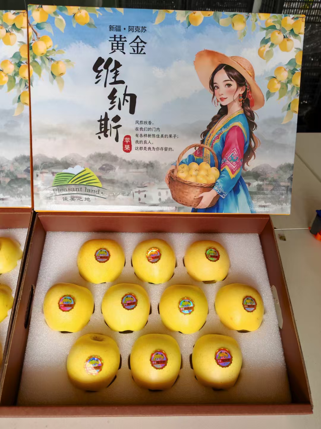 【513173-09】【苹果界的爱马仕】来自新疆的黄金维纳斯苹果大果10个